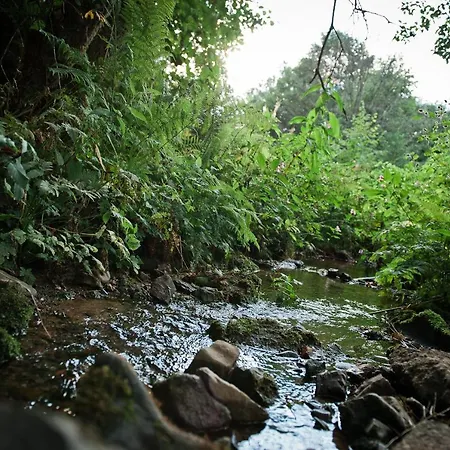 Sleep Space 21 - Tiny Village Harz 펜션 Osterode am Harz