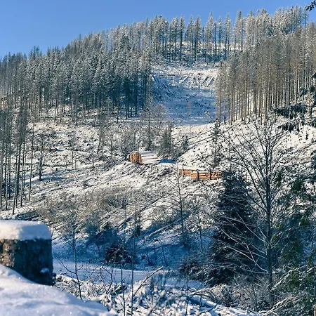 Sleep Space 21 - Tiny Village Harz *