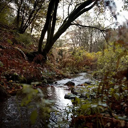 Sleep Space 21 - Tiny Village Harz Vakantiehuis Osterode am Harz