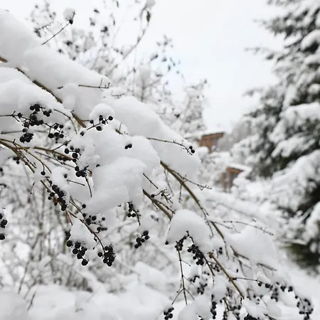 Sleep Space 21 - Tiny Village Harz * Osterode am Harz