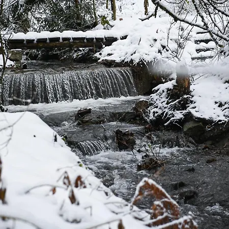 Sleep Space 21 - Tiny Village Harz 펜션 Osterode am Harz