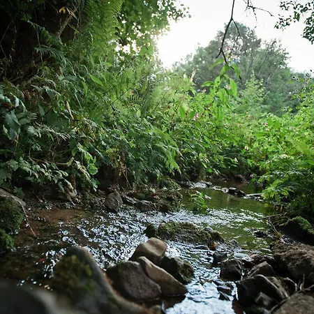 Sleep Space 21 - Tiny Village Harz 펜션